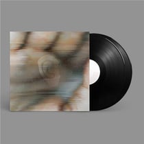 Chapterhouse Retranslated by Global Communication - Blood Music: Pentamerous Metamorphosis