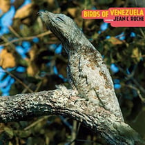 Birds of Venezuela