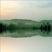 Fieldtone