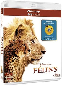 Félins