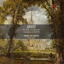 Schubert : Sonate pour piano D 537 - Impromptus Op.90 D 899