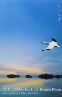 THE SNOW GEESE