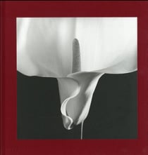 Flora. Les fleurs de Mapplethorpe