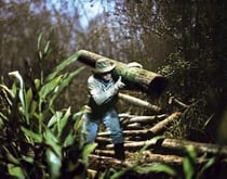 Alejandro chaskielberg la creciente