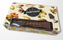 La cueillette des champignons