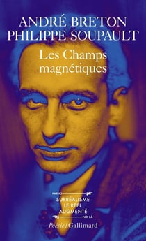 Les champs magnétiques - s'il vous plait -Vous m'oublierez