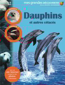 Dauphins et autres cétacés
