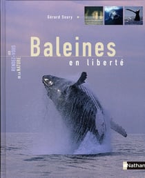 Baleines en liberté