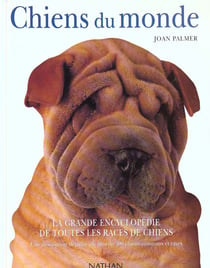 Chiens du monde