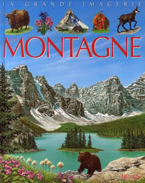La montagne