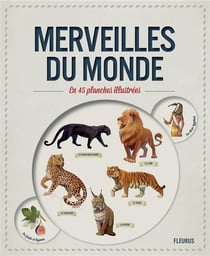 Merveilles du monde en 45 planches illustrées