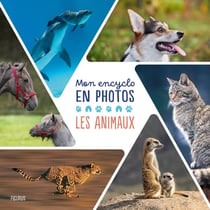 Mon encyclo en photos : Les animaux