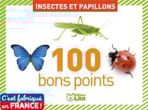 Boîte de 100 bons points : insectes et papillons