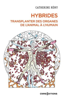 Hybrides : Transplanter des organes de l'animal à l'humain