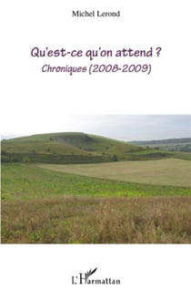 Qu'est ce qu'on attend ? chroniques 2008-2009