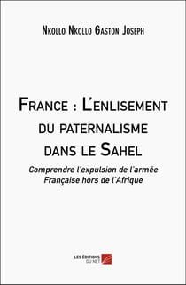 France : L'enlisement du paternalisme dans le Sahel : Comprendre l'expulsion de l'armée Française hors de l'Afrique