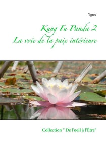 Kung fu panda t.2 - la voie de la paix intérieure