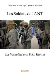 Les soldats de l'ant - les véritables anti boko haram