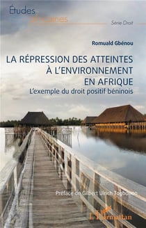 La répression des atteintes  à l'environnement en Afrique : L'exemple du droit positif béninois