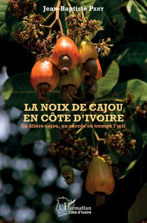 La noix de cajou en Côte d'Ivoire - la filière cajou, un succès en trompe l'oeil