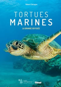 Tortues marines - la grande odyssée