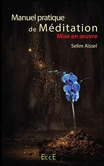 Manuel pratique de méditation - mise en oeuvre