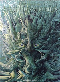 Au-delà des merveilles Tome 1 : pique