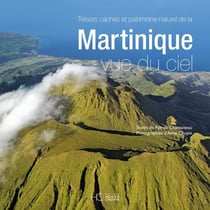 Martinique vue du ciel