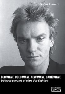 Old wave, cold wave, new wave, dark wave - déluges sonores et clip eighties