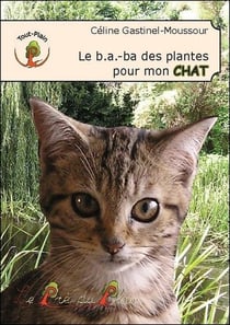 Le b.a.-ba des plantes pour mon chat