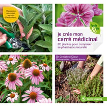 Je crée mon carré médicinal