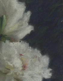 Lexitis 2016 weekly planner nymphe 17x22 cm large hard cover