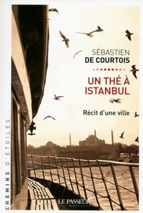Un thé à Istanbul - récit d'une ville