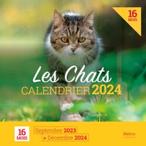 CALENDRIER MURAL JEUX CHATS 2024 - CALENDRIER - La Preface