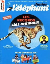 L'éléphant n.17