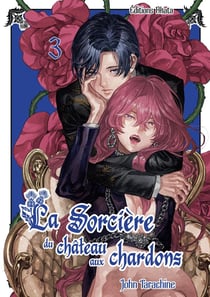 La sorcière du château aux chardons Tome 3