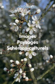 Images, paysages, schemas culturels