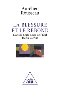 La blessure et le rebond : dans la boîte noire de l'etat face à la crise