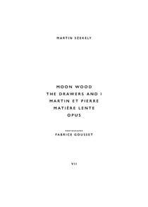 Moon wood, the drawers and I, matière lente, Martin et Pierre, lente opus