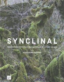 Synclinal : Observatoire Photographique Du Paysage De La Forêt De Saou