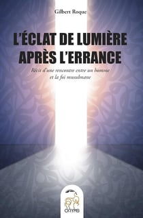 L'éclat de lumière dans l'errance