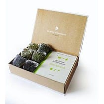 Ma petite herboristerie anti-stress - coffret