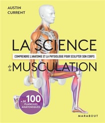 La science de la musculation : comprendre l'anatomie et la physiologie pour sculpter son corps
