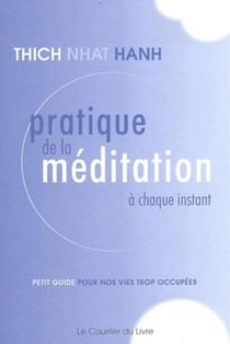 Pratique de la méditation à chaque instant - petit guide pour nos vies trop occupées