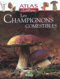Les chamignons comestibles
