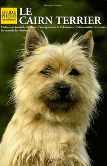 Le cairn terrier
