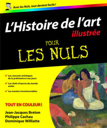 L'histoire de l'art illustrée pour les nuls