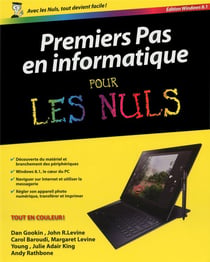 Premiers Pas En Informatique Ed Windows 8 Pour Lesnuls