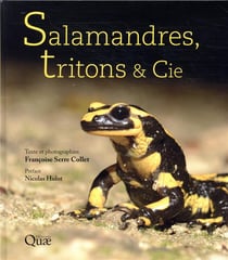Salamandres, tritons & cie