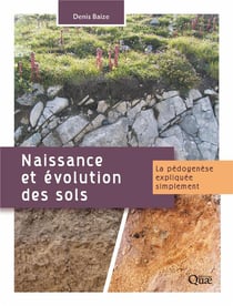 Naissance et évolution des sols - la pédogenèse expliquée simplement